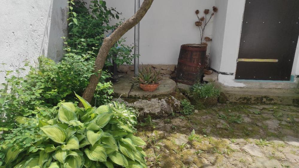 Ubytovani Pod Jilmem Zumberk Exteriör bild